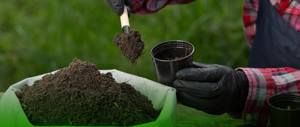 السماد العضوي