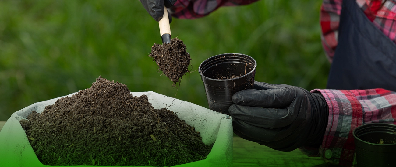 السماد العضوي