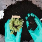 From Waste to Wealth: The Simple Science and Benefits of Premium Organic Fertilizer