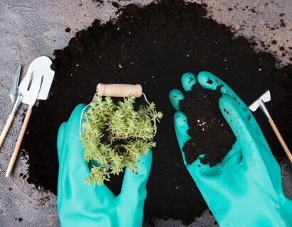 From Waste to Wealth: The Simple Science and Benefits of Premium Organic Fertilizer